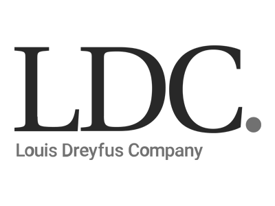 LDC-Logo
